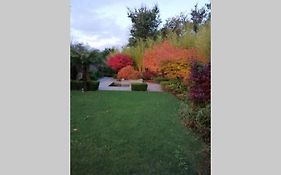 Chalet con piscina en entorno rural (Miño)